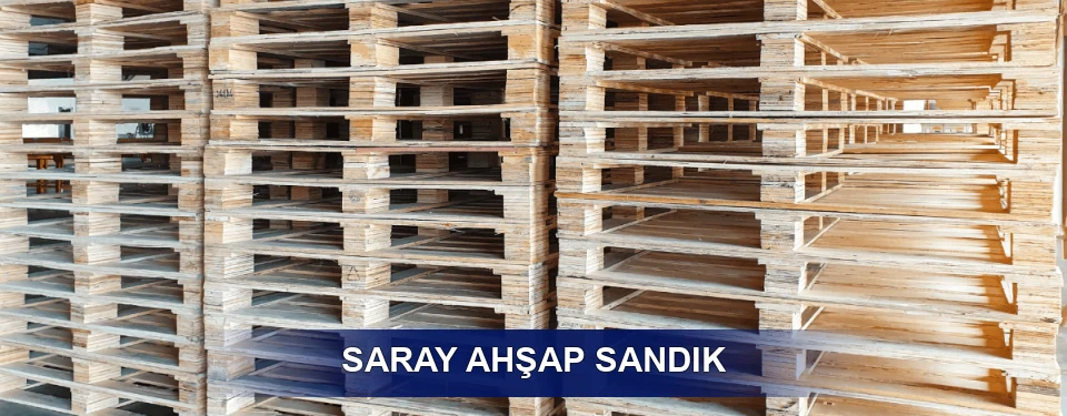 Saray Ölçü Planı