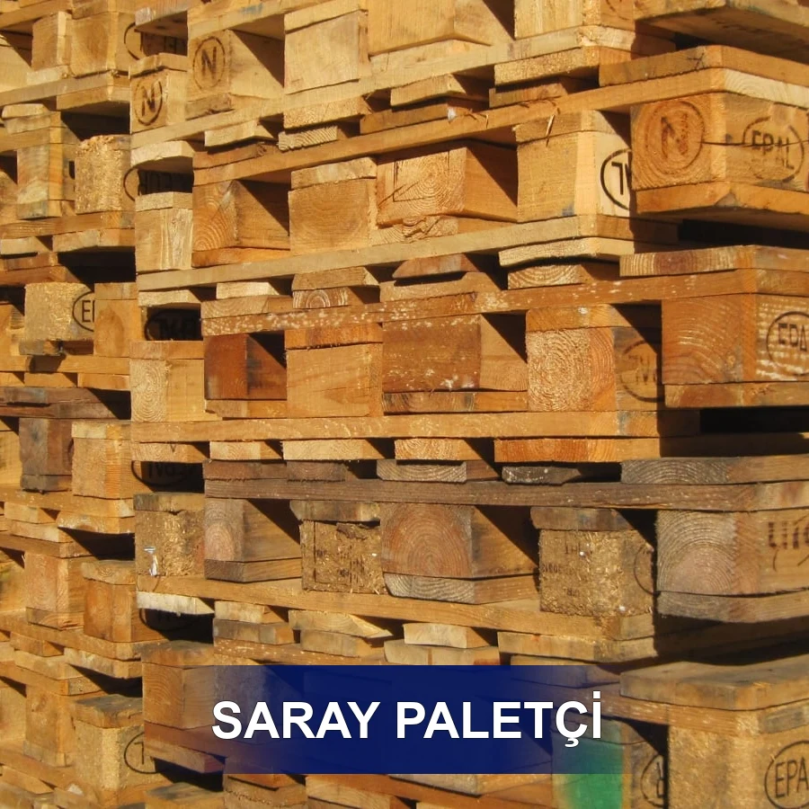 Saray Paletçi