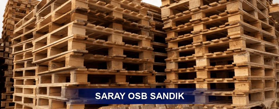 Saray Ölçü Planı