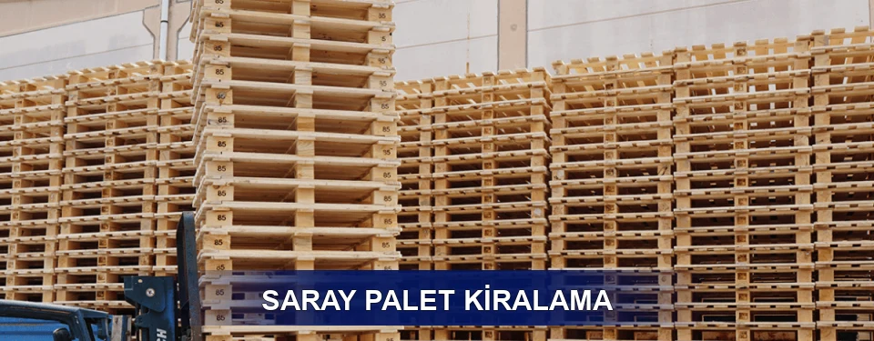 Saray Uzun Dönem